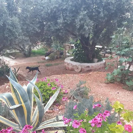 Glennhouse Holiday home *