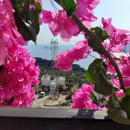 Glennhouse Holiday home Kas